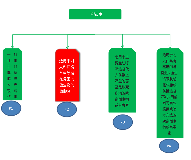 實驗室劃分等級
